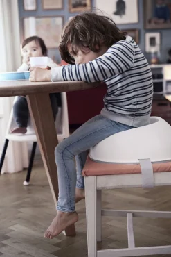 BABYBJORN BabyBjörn Børnesæde,