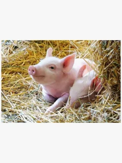 Ravensburger Puslespil Bondegårdsdyr 2x12 Brikker